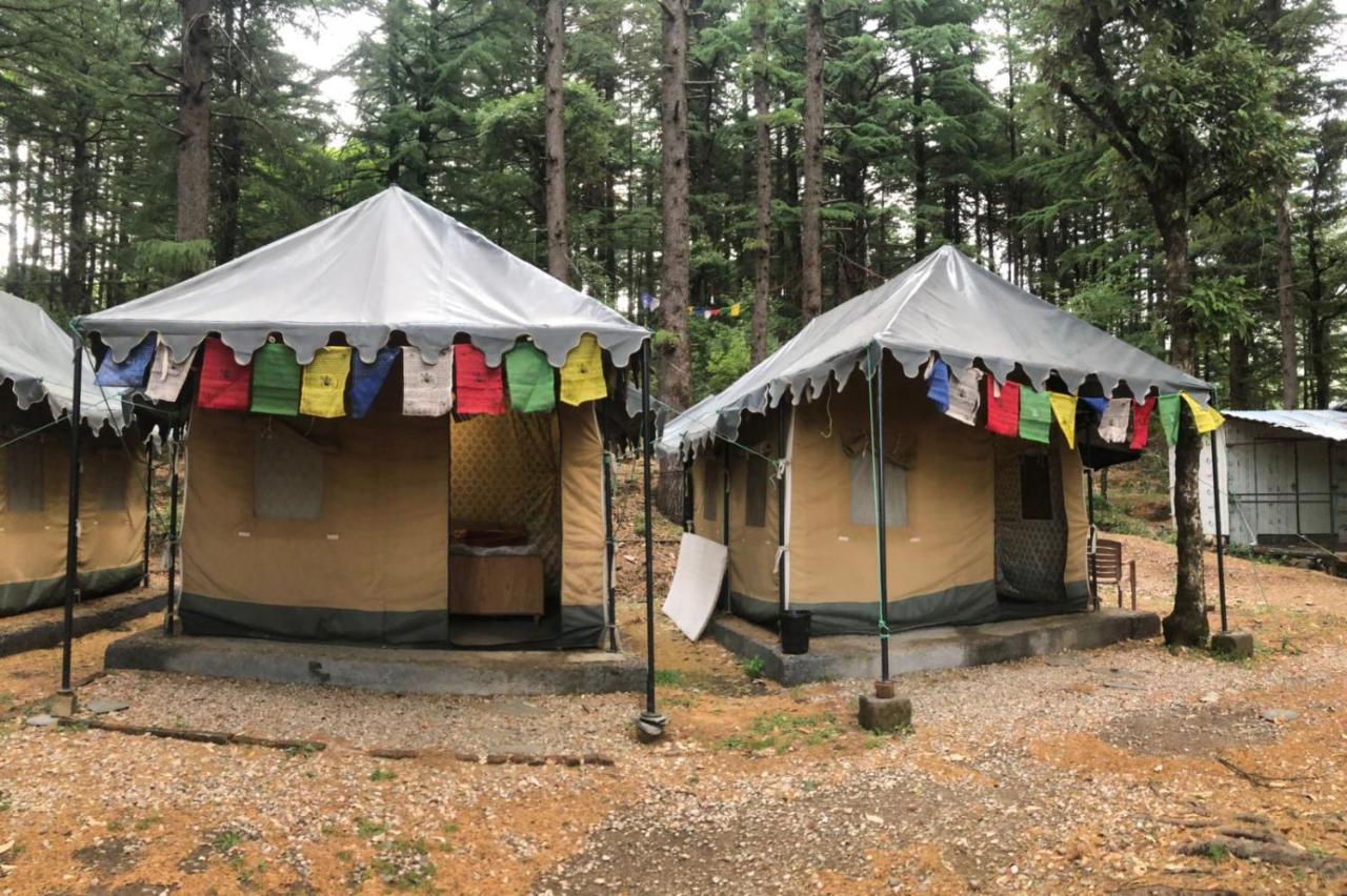 Himtrek Stays,Mcleodganj McLeod Gandzs Kültér fotó