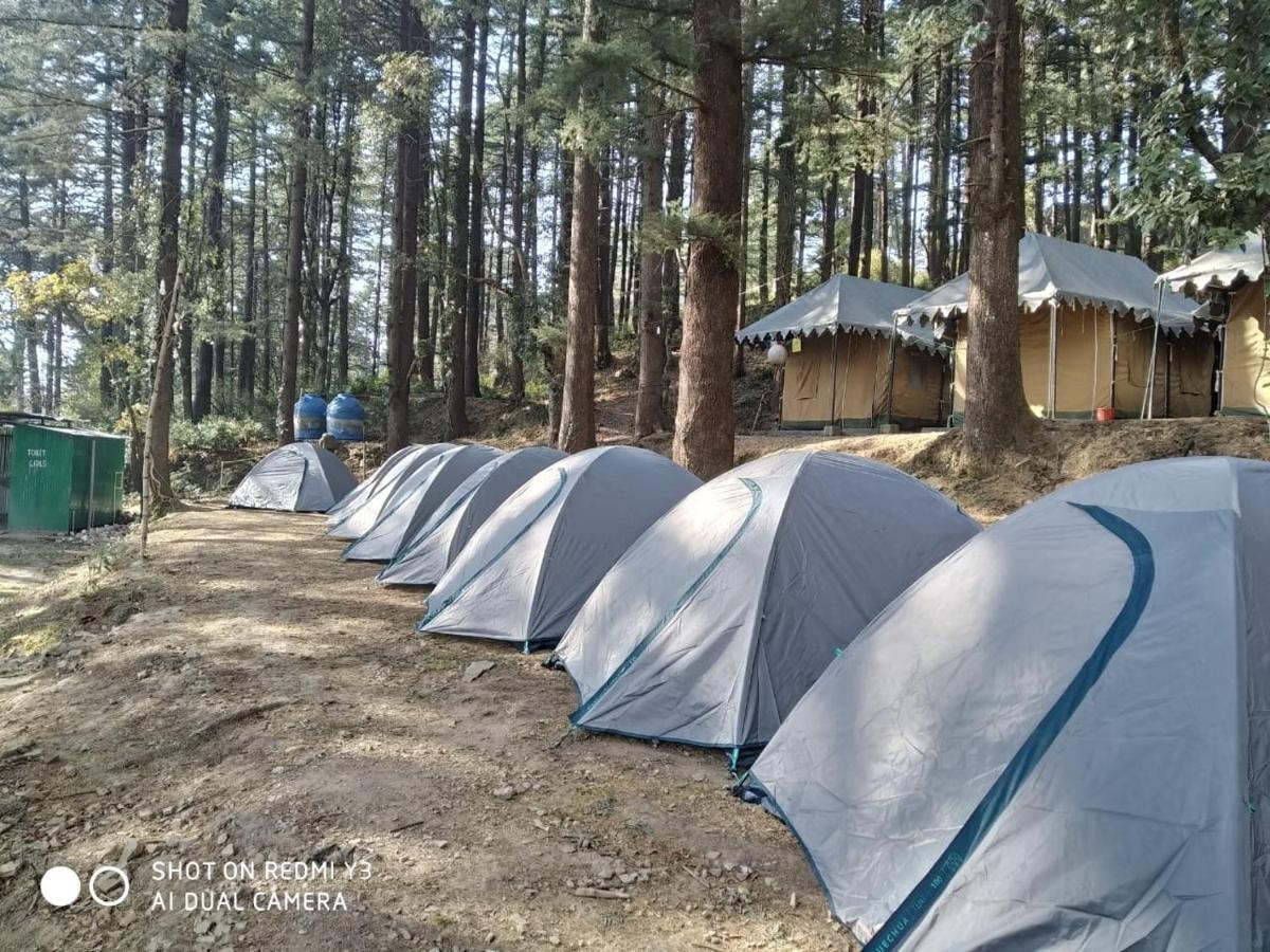 Himtrek Stays,Mcleodganj McLeod Gandzs Kültér fotó