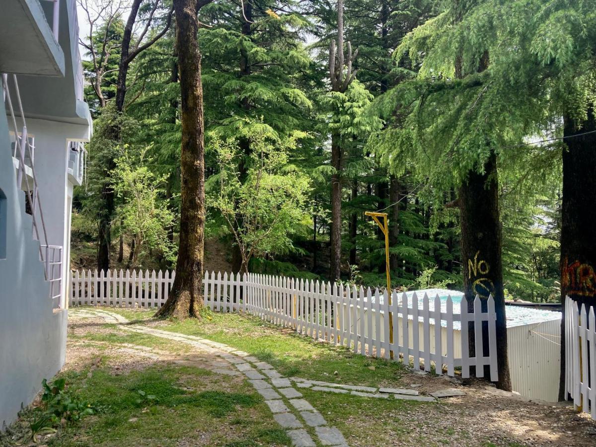 Himtrek Stays,Mcleodganj McLeod Gandzs Kültér fotó