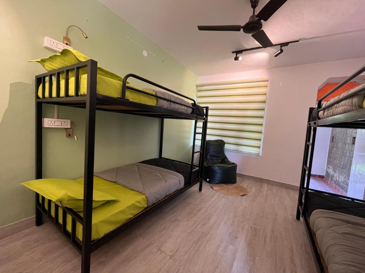 Himtrek Stays,Mcleodganj McLeod Gandzs Kültér fotó
