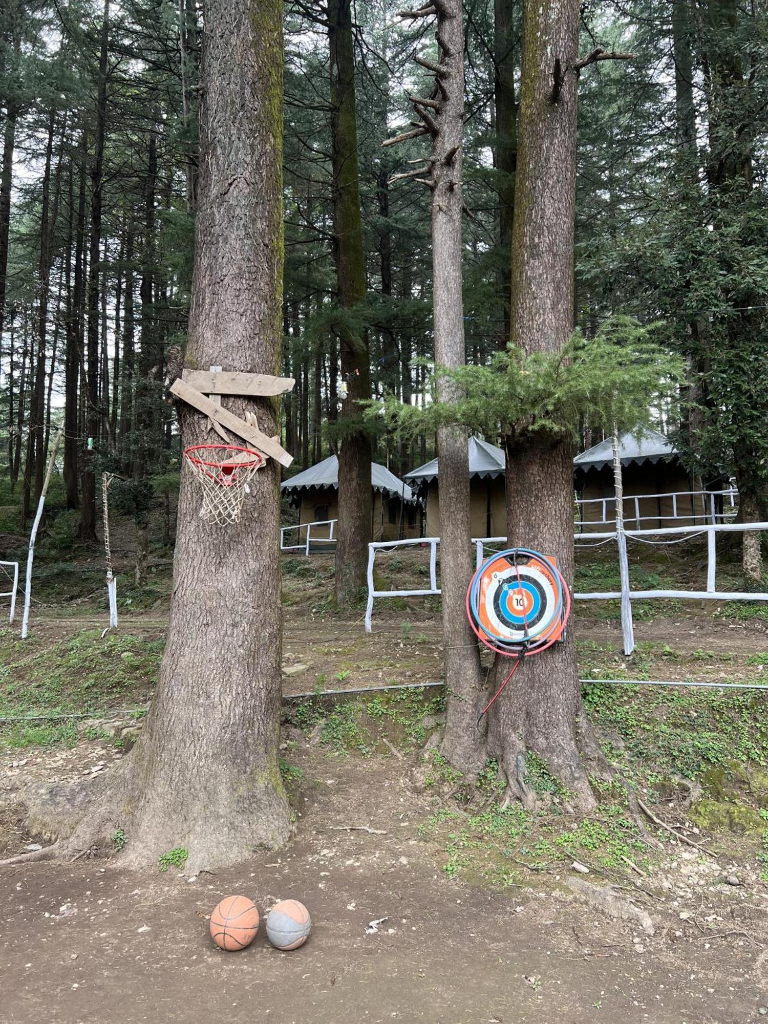 Himtrek Stays,Mcleodganj McLeod Gandzs Kültér fotó