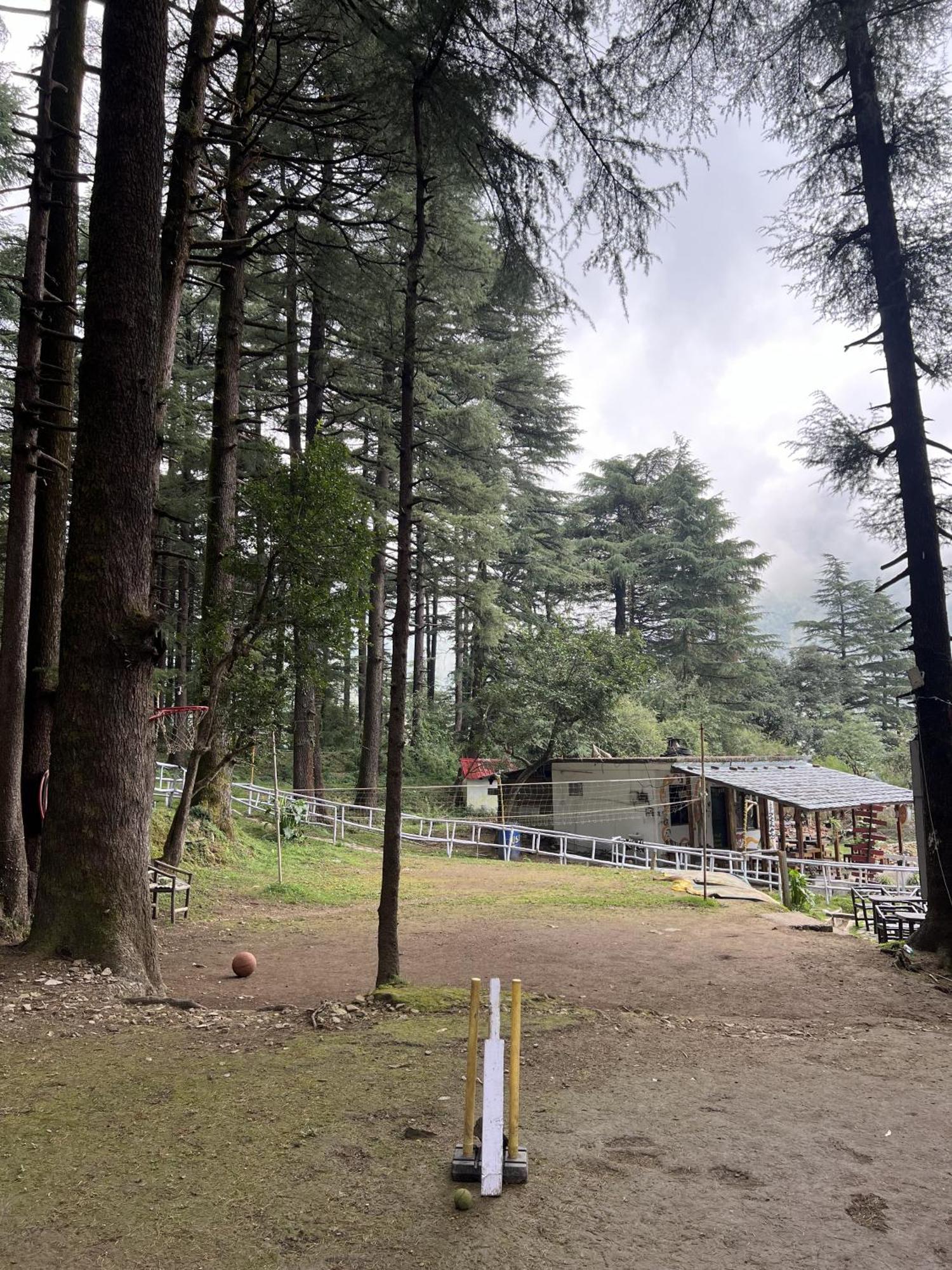 Himtrek Stays,Mcleodganj McLeod Gandzs Kültér fotó