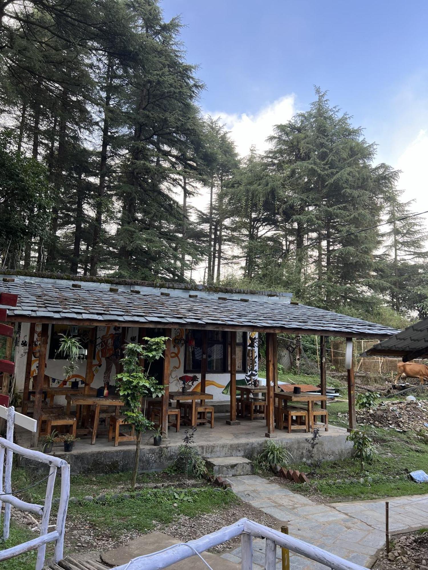 Himtrek Stays,Mcleodganj McLeod Gandzs Kültér fotó