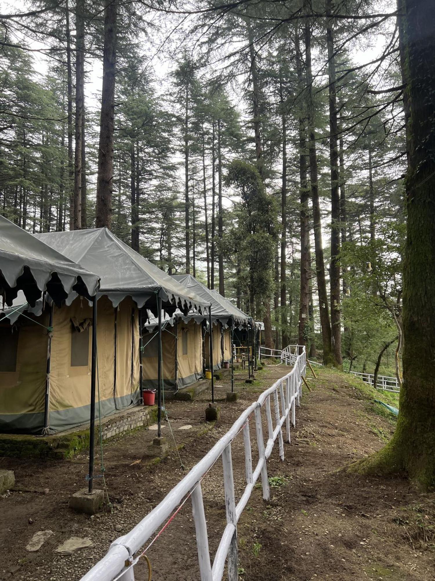 Himtrek Stays,Mcleodganj McLeod Gandzs Kültér fotó