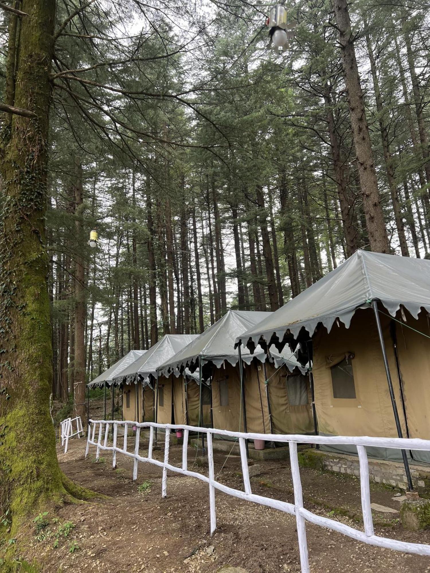 Himtrek Stays,Mcleodganj McLeod Gandzs Kültér fotó