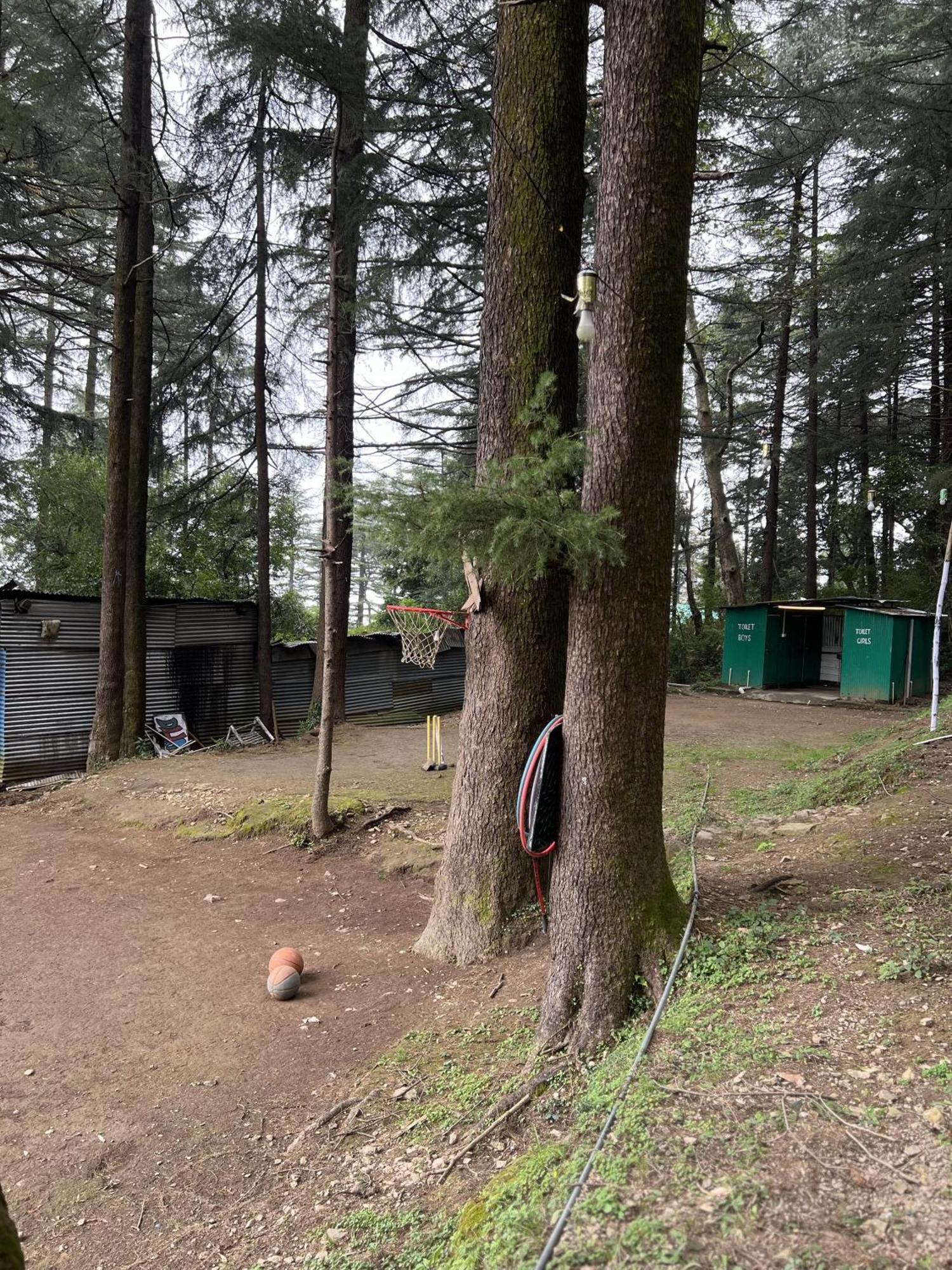 Himtrek Stays,Mcleodganj McLeod Gandzs Kültér fotó