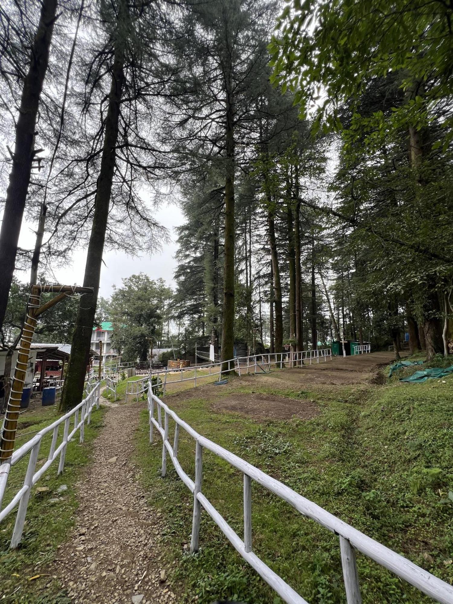 Himtrek Stays,Mcleodganj McLeod Gandzs Kültér fotó