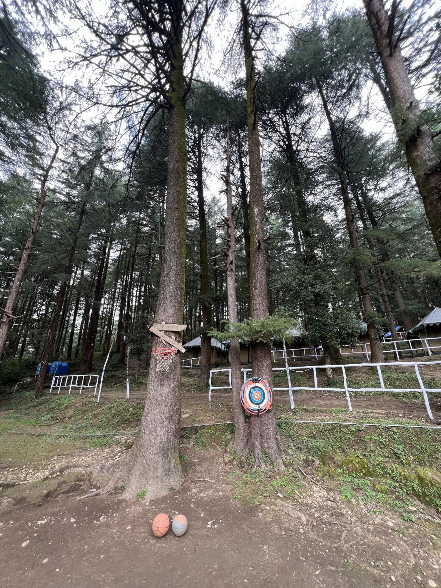 Himtrek Stays,Mcleodganj McLeod Gandzs Kültér fotó