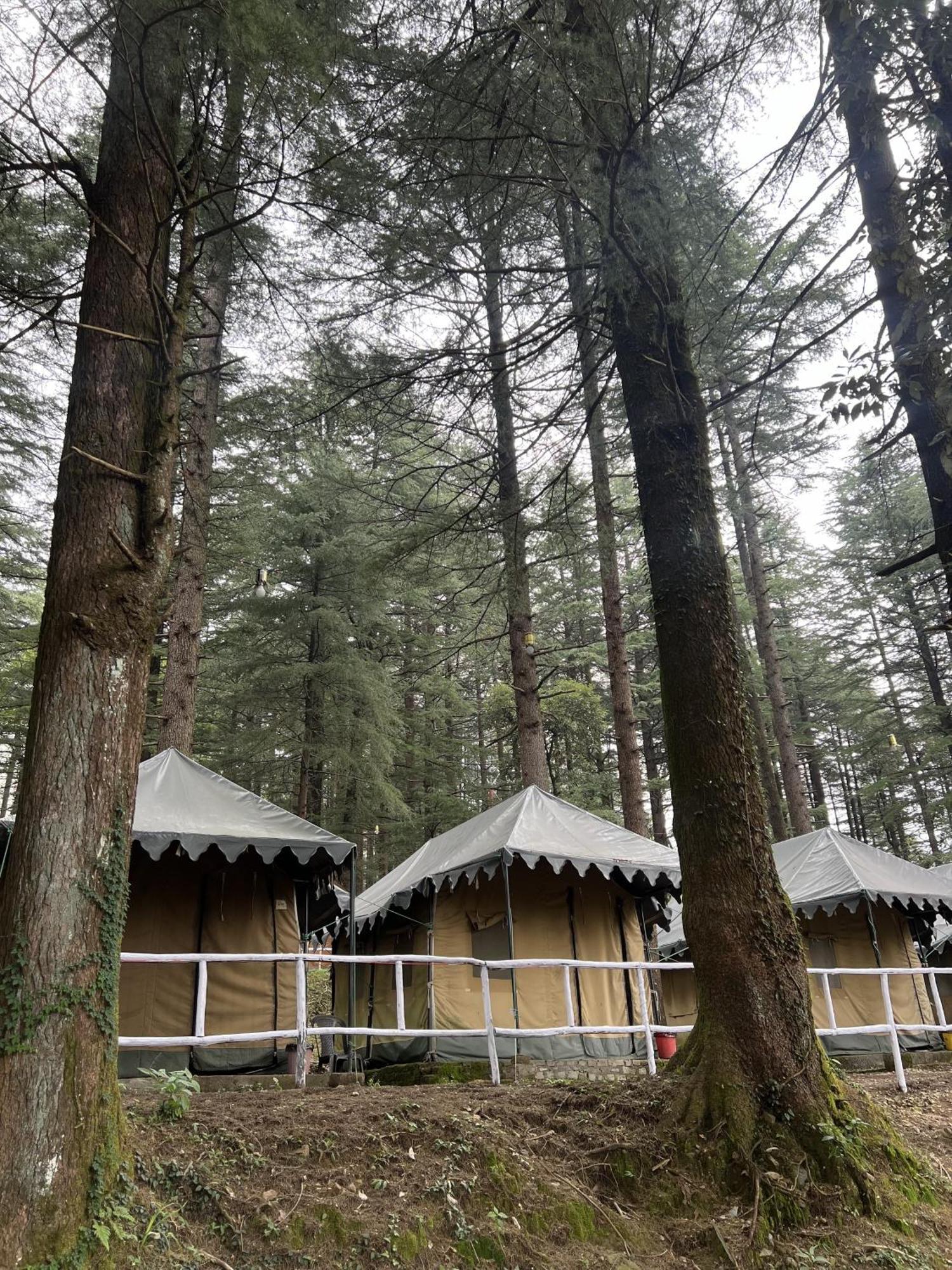 Himtrek Stays,Mcleodganj McLeod Gandzs Kültér fotó