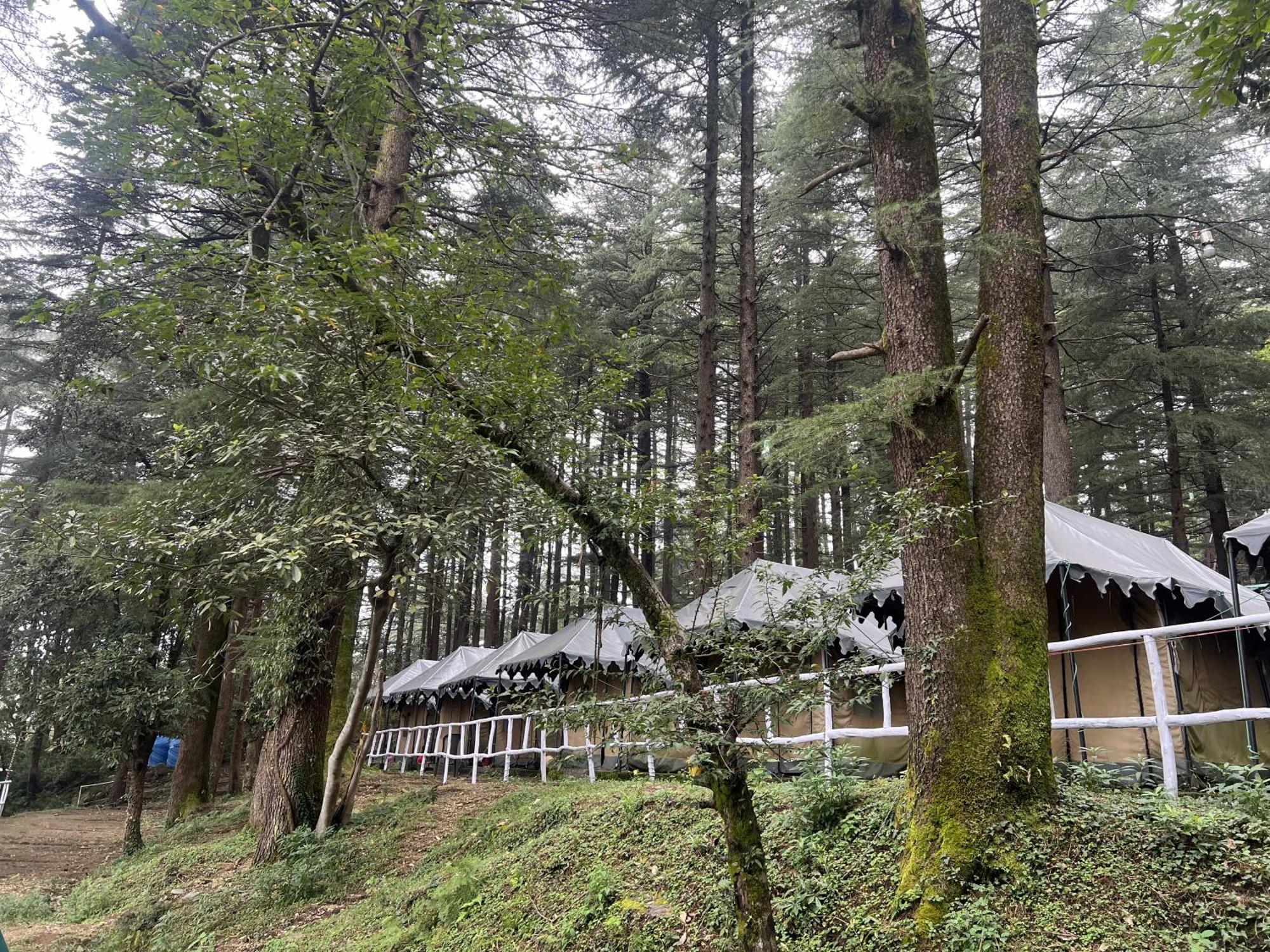 Himtrek Stays,Mcleodganj McLeod Gandzs Kültér fotó
