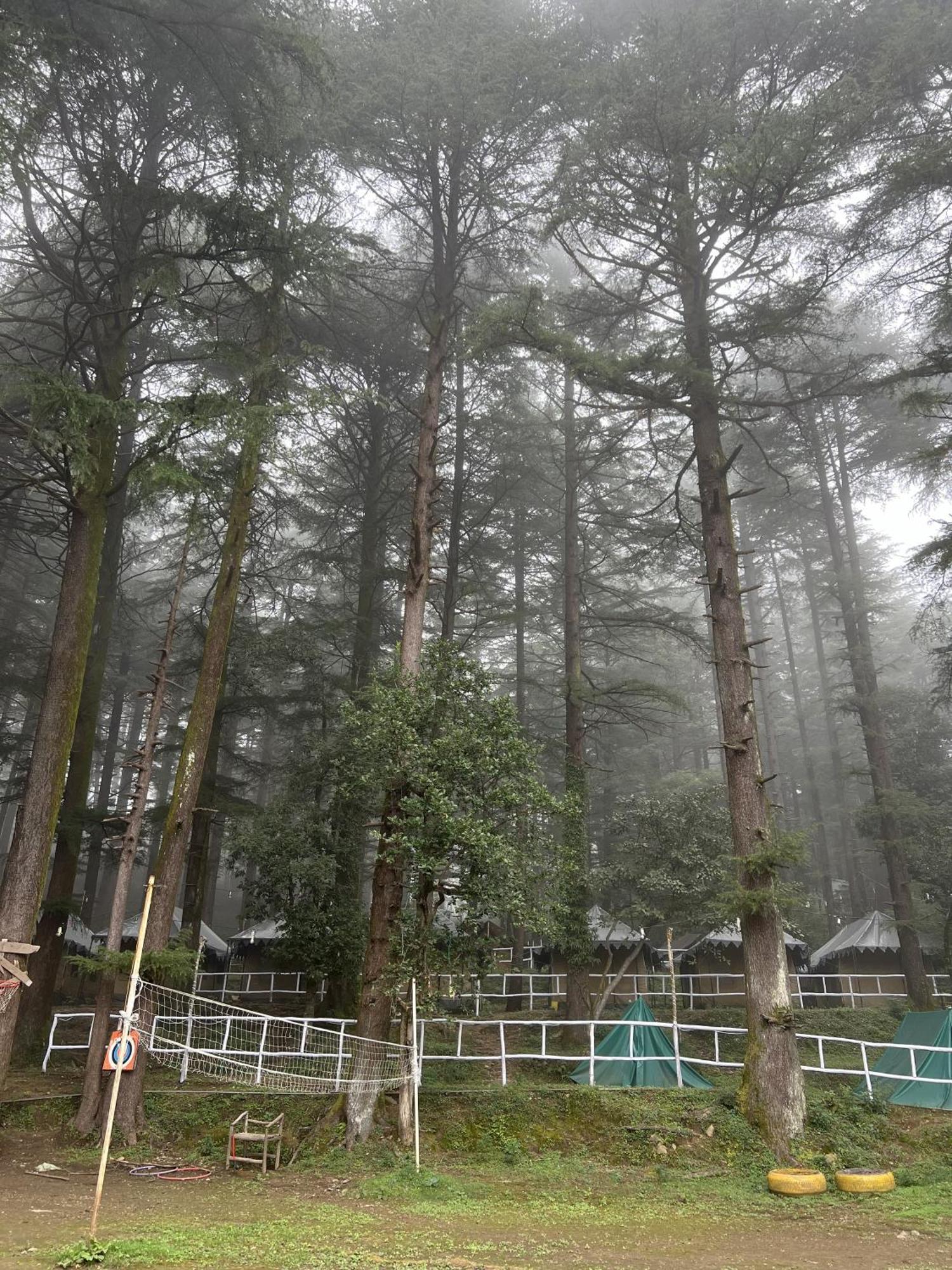 Himtrek Stays,Mcleodganj McLeod Gandzs Kültér fotó