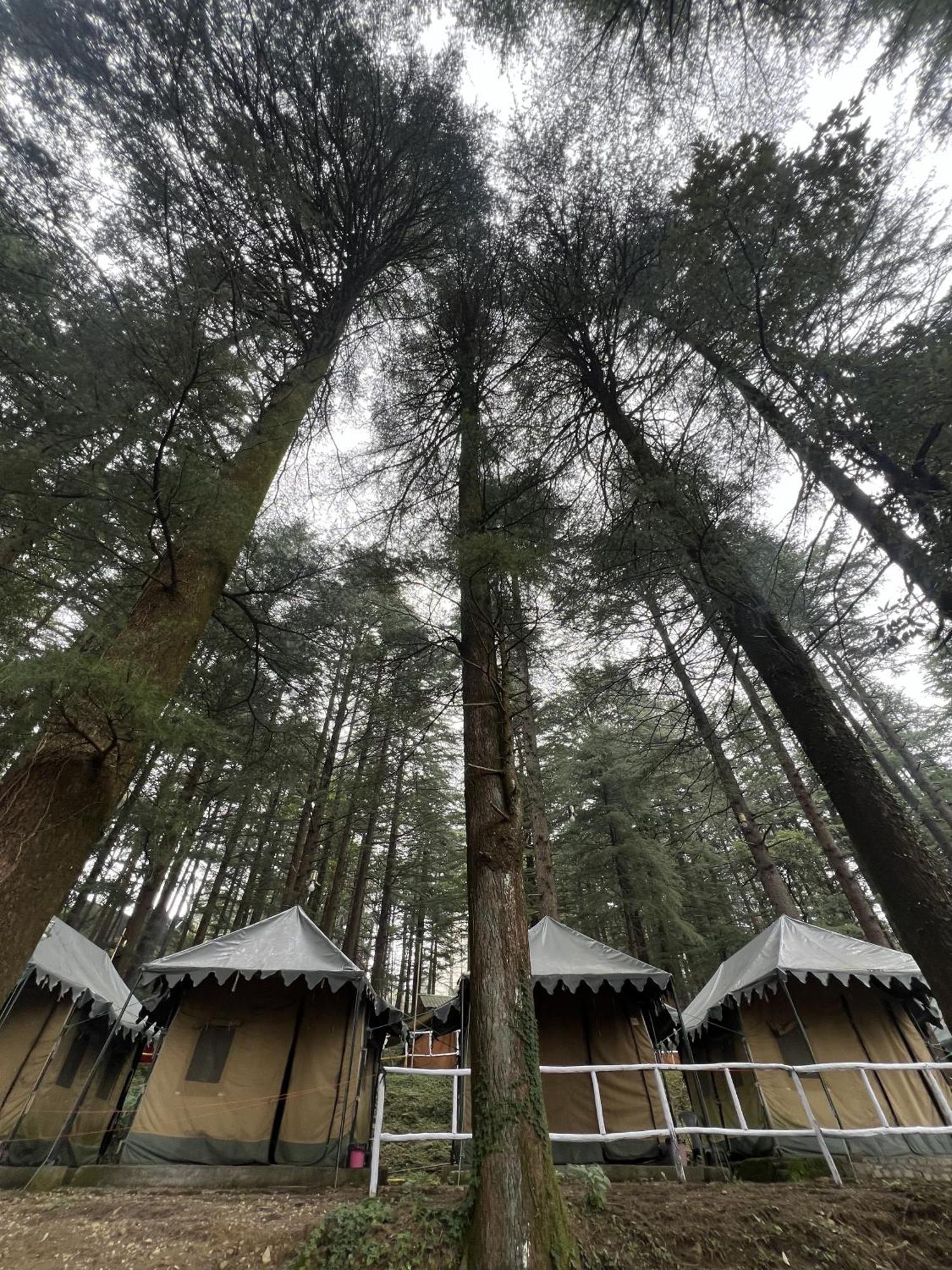 Himtrek Stays,Mcleodganj McLeod Gandzs Kültér fotó