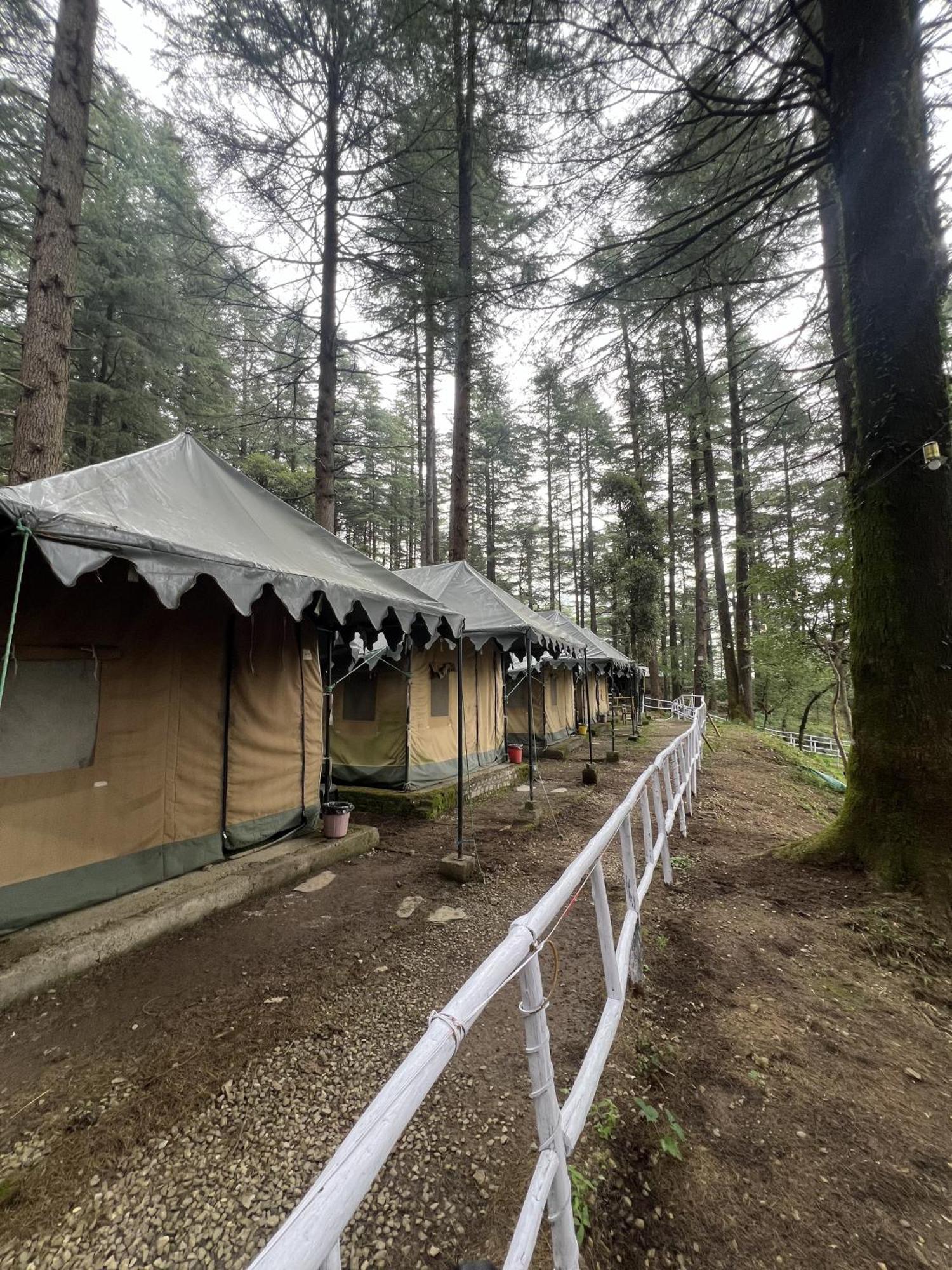 Himtrek Stays,Mcleodganj McLeod Gandzs Kültér fotó