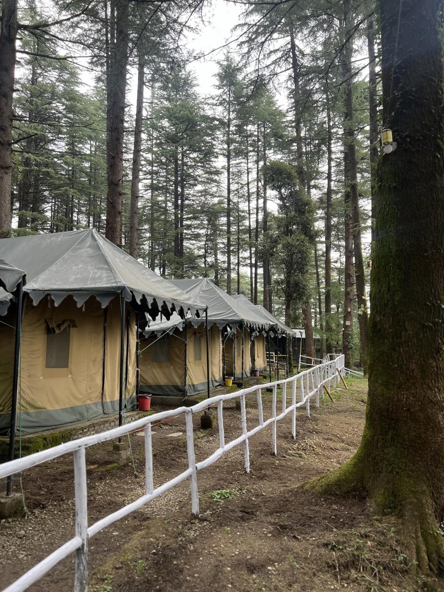 Himtrek Stays,Mcleodganj McLeod Gandzs Kültér fotó