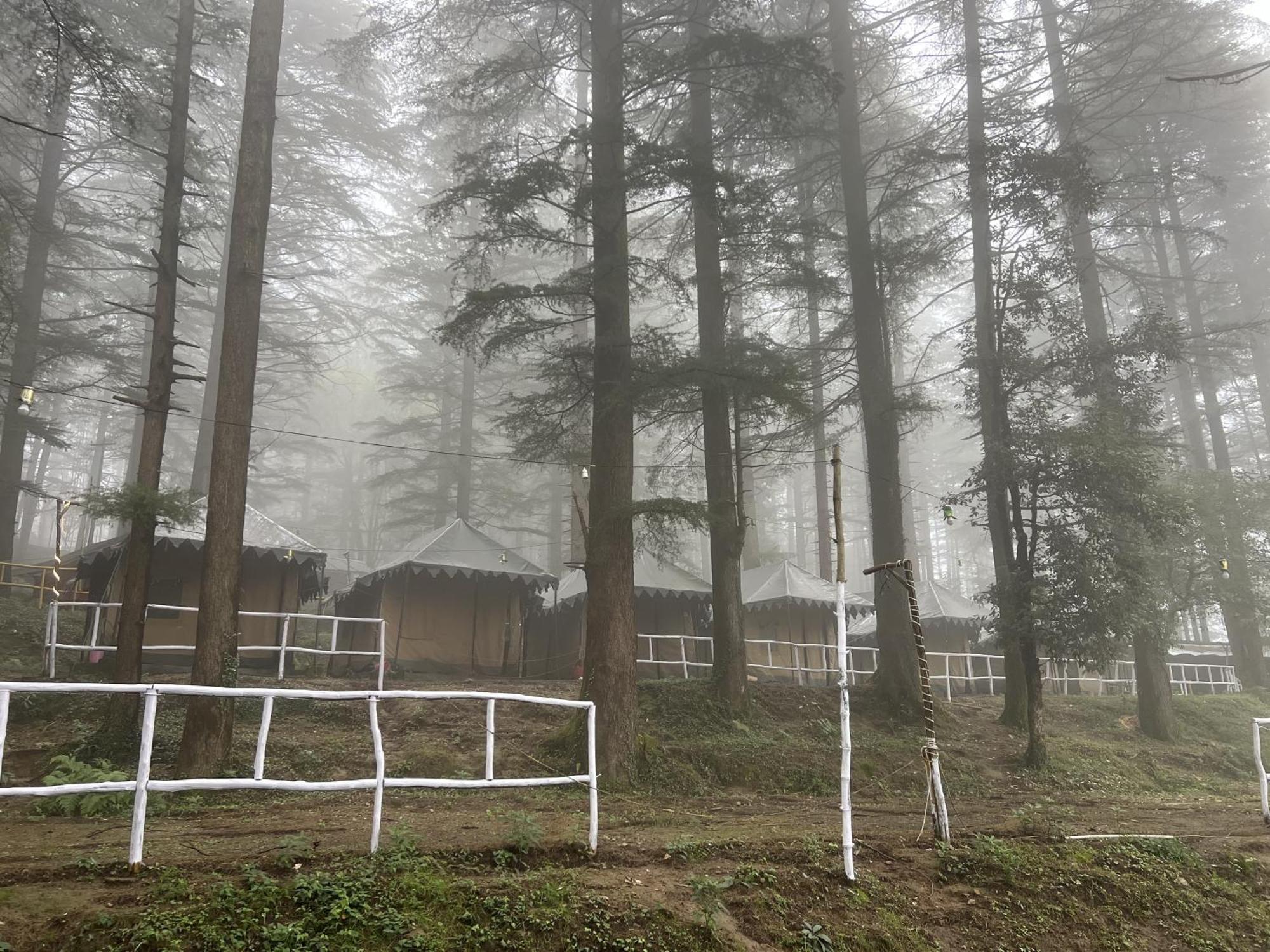 Himtrek Stays,Mcleodganj McLeod Gandzs Kültér fotó