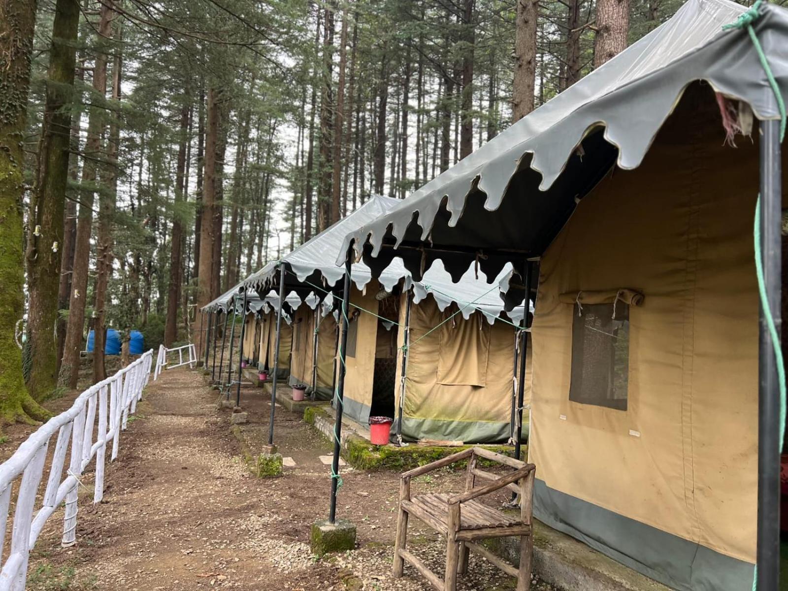 Himtrek Stays,Mcleodganj McLeod Gandzs Kültér fotó